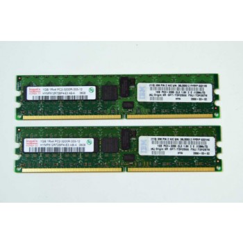 Server memory 73P2870 1GB DDR2 ECC REG400 PC2-3200R DIMM RAM, for X225 X226 X236 X336 X345 X346