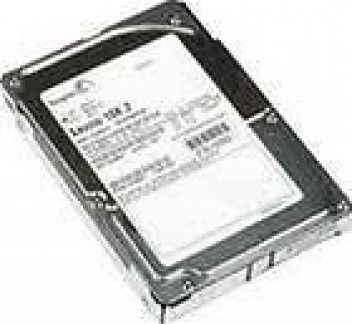 Seagate 300 GB,Internal,10000 RPM,2.5" (ST9300603SS) Hard Drive